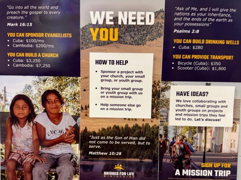quick preview of the bridges for life brochure